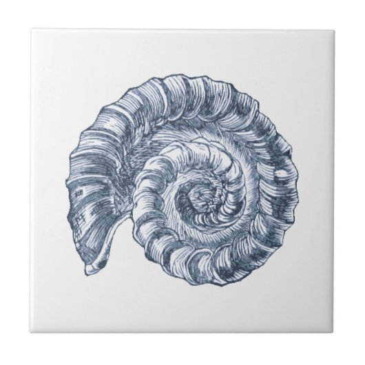 Delft Blue Ammonite Sea Muschel Nautic Beach House Fliese (Vorderseite)