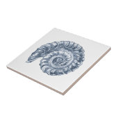 Delft Blue Ammonite Sea Muschel Nautic Beach House Fliese (Seite)