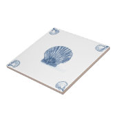 Delft-Kamm-Muschel-Fliese mit Muschel-Ecken Fliese (Seite)