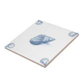 Delft-Pustel-Fliese mit Muschel-Ecken Fliese (Seite)