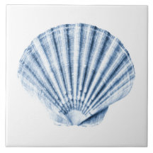 Delfter Blaues Muschel-Meeresschalen-Nautisches St