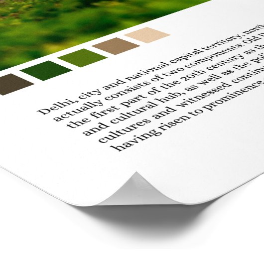 Delhi - Indien Poster (Ecke)