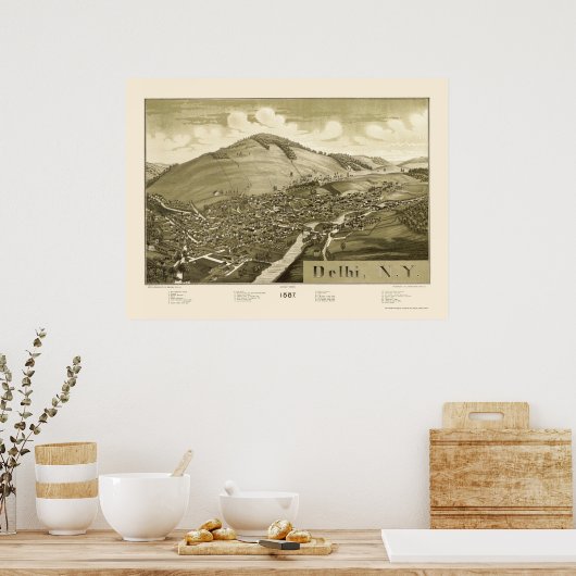Delhi, NY Panoramic Map - 1887 Poster (Küche)