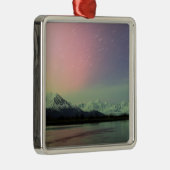 Delicate Aurora Ornament Aus Metall (Rechts)