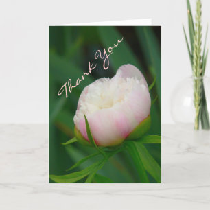 "DELICATE BLUSHING PEONY/ DANK-YOU "NOTECARD DANKESKARTE