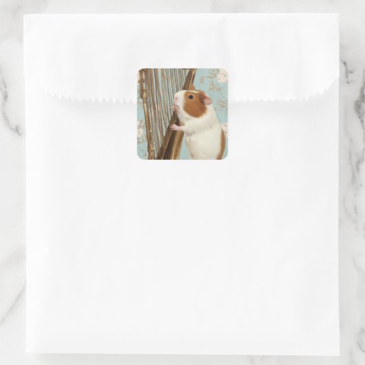 Delicate Harp Guinea Pig Sticker (Tasche)
