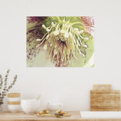 Delicate Hellebore Blossom Poster (Küche)
