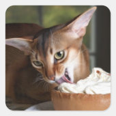 Delicate Indulgence Cat Sticker (Vorderseite)