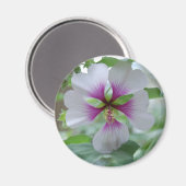 Delicate Lily - Magnet (Vorderseite/Rückseite)