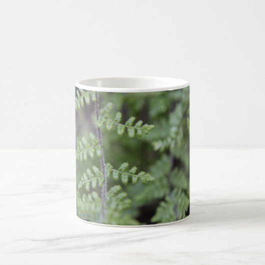 Delicate Little Fern Kaffeetasse (Mittel)