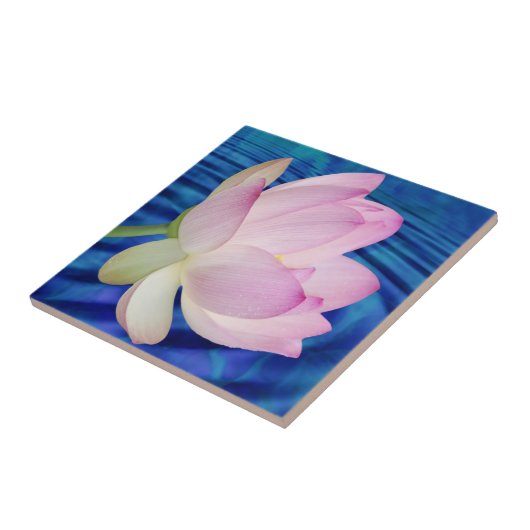Delicate Lotus Blume Fliese (Seite)