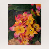 Delicate Orchids Jigsaw Puzzle (Vertikal)