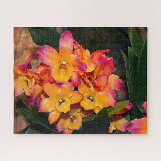 Delicate Orchids Jigsaw Puzzle (Horizontal)