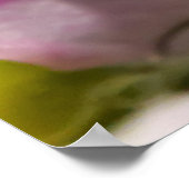 Delicate Orquid Poster (Ecke)