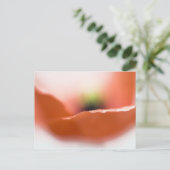 Delicate Poppy Postkarte (Stehend Vorderseite)