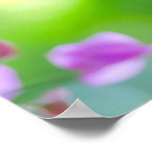 Delicate Purple Bougainvillea Poster (Ecke)