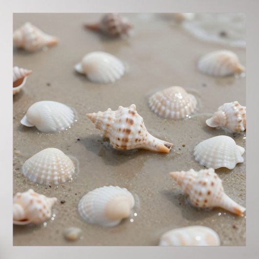 Delicate Seashells Beach Serenity Poster (Vorne)