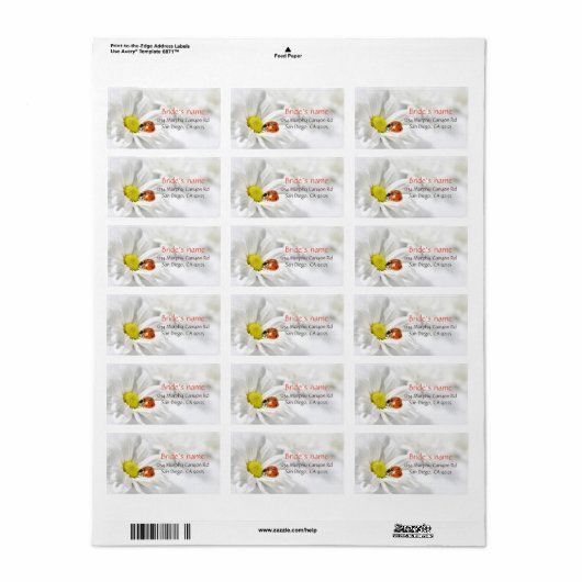 Delicate Spring Daisy Ladybug Address Labels Adressaufkleber (Vorne)