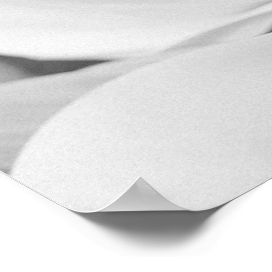 Delicate Vellum Transparency Black White Initials Poster (Ecke)