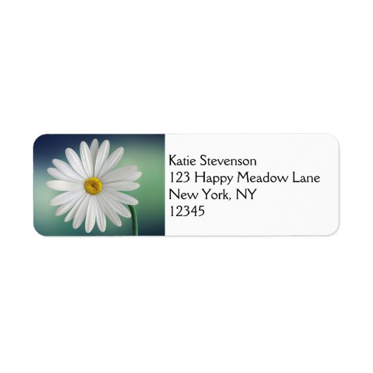 Delicate White Daisy (Vorne)