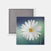 Delicate White Daisy Magnet (Vorderseite/Rückseite)