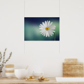Delicate White Daisy Poster (Küche)