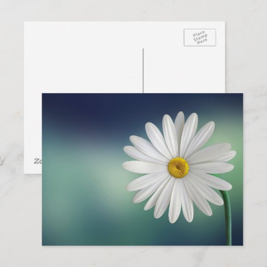 Delicate White Daisy Postkarte (Vorne/Hinten)