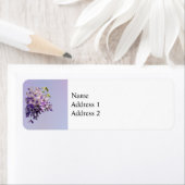 Delicate Wisteria (Insitu)