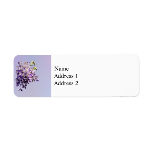 Delicate Wisteria (Vorne)