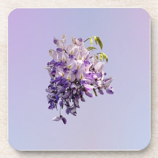 Delicate Wisteria Getränkeuntersetzer (Vorderseite)