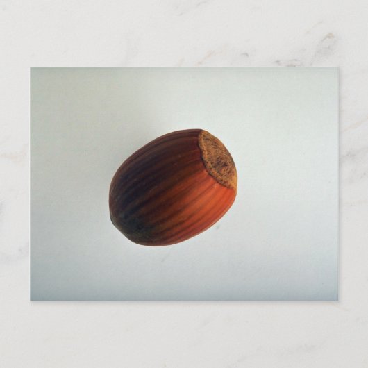 Delicious Filbert Postkarte (Vorderseite)