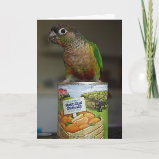 delicious mandarin karte (Vorderseite)