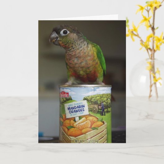 delicious mandarin karte (Gelbe Blume)