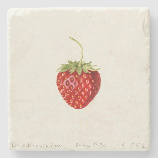 Delicious Red Strawberry (von Louis C.C. Krieger) Steinuntersetzer (Vorderseite)