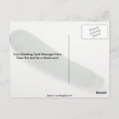 Delicious Zucchini Postkarte (Rückseite)