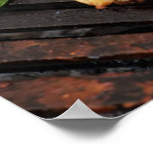 Deliciuos Grillen Poster (Ecke)