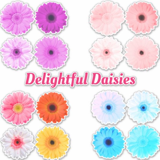 Delightful Daisies Vinyl Decals Aufkleber (Vorderseite)