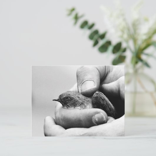 Delikat - Postkarte (Stehend Vorderseite)