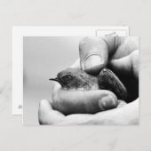 Delikat - Postkarte (Vorne/Hinten)