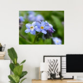 Delikat Vergiss mich nicht Blume Poster (Heimbüro)