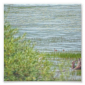 Delikatbewegung Fotodruck (Vorne)