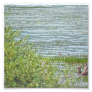 Delikatbewegung Fotodruck