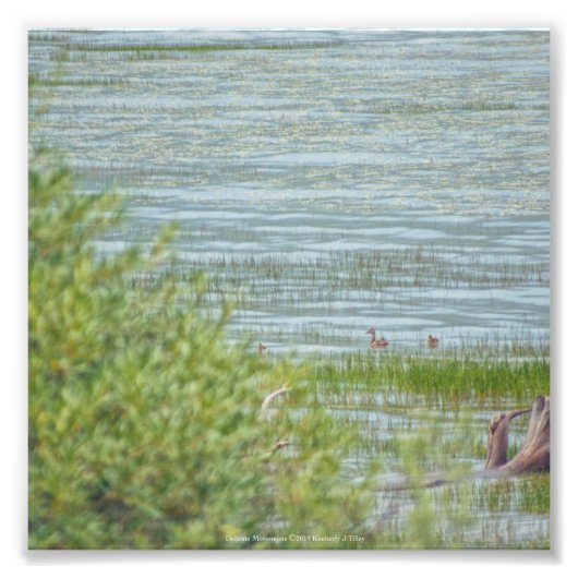 Delikatbewegung Fotodruck (Vorne)