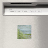 Delikatbewegung Magnet (In Situ (Geschirrspüler))