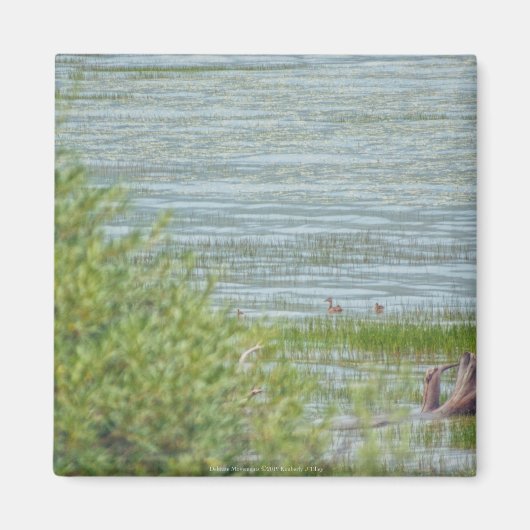 Delikatbewegung Magnet (Vorne)