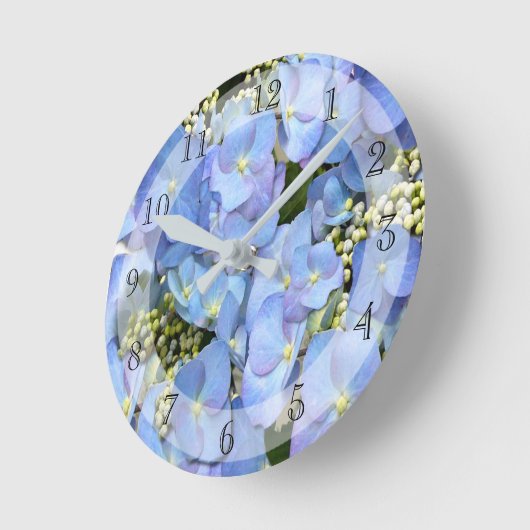 Delikatblauer Lacecap Hydrangea Runduhr Runde Wanduhr (Winkel)