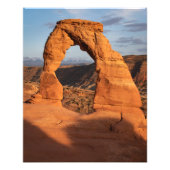 Delikatbogen Fotodruck (Vorne)