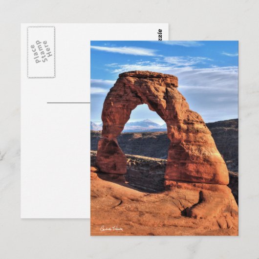 Delikatbogen Postkarte (Vorne/Hinten)