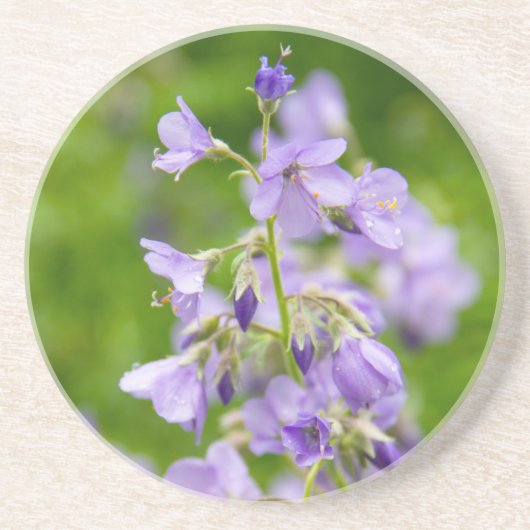 Delikate blaue Blumen auf einem grünen Feld im Frü Getränkeuntersetzer (Vorne)