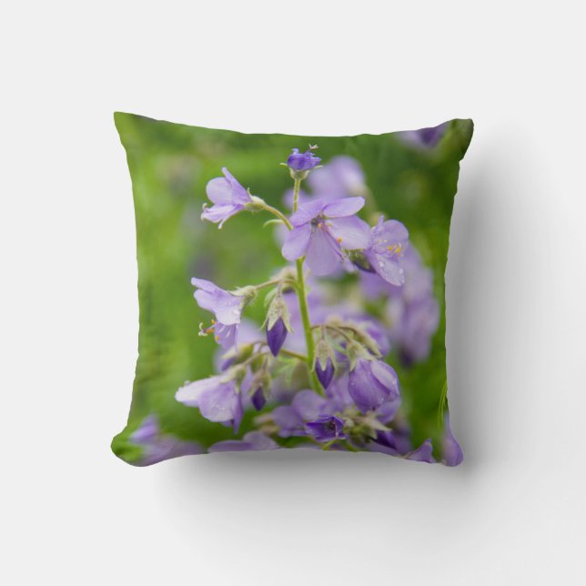 Delikate blaue Blumen auf einem grünen Feld im Frü Kissen (Vorderseite)